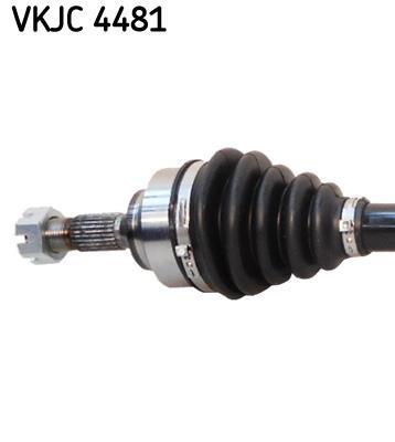Cardan SKF ref. VKJC 4481